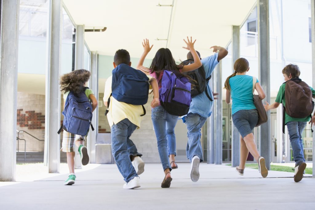 Understanding child development the role of physical activity and sports