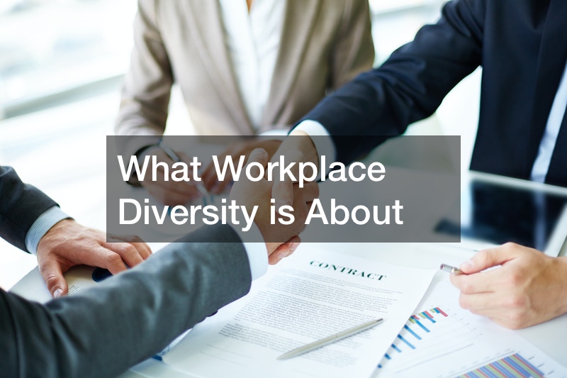 What Workplace Diversity is About