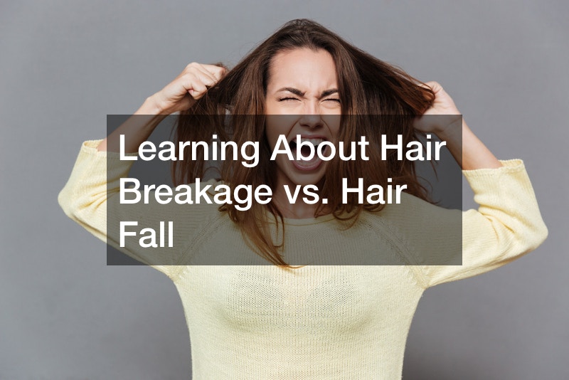 Learning About Hair Breakage vs. Hair Fall